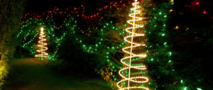 christmas light show trees