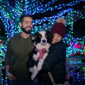 two guests enjoying the light displays with their pup