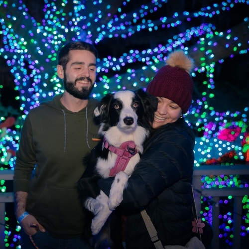 two guests enjoying the light displays with their pup